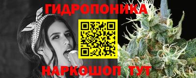 mdpv Рыбинск